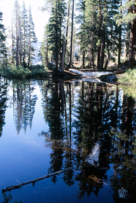 Pond on Cinko Lake trail - Hoover Wilderness 1995 Pond on Cinko Lake trail - Hoover Wilderness 1995