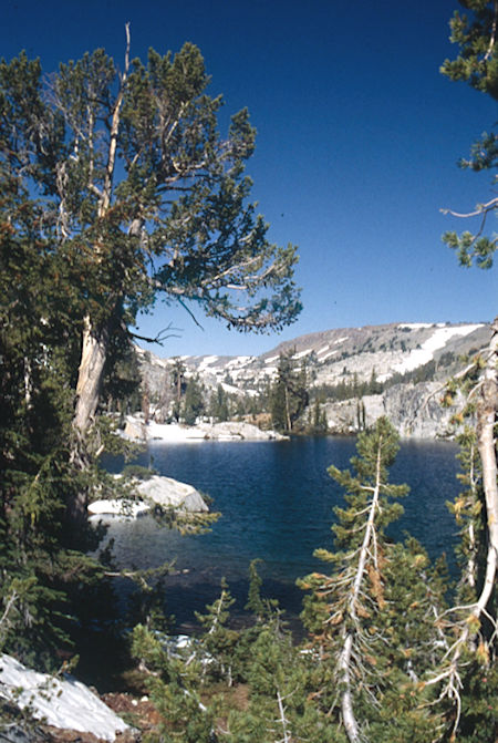 Cinko Lake - Hoover Wilderness 1995 Cinko Lake - Hoover Wilderness 1995