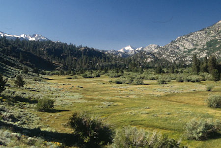 Looking back over Leavitt Meadow at Tower Peak - Hoover Wilderness 1995