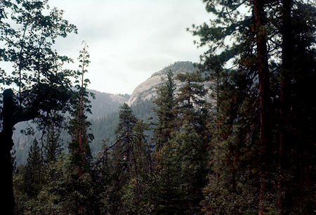 Wawona Dome from Mariposa-Wawona Trail - Yosemite National Park - Jul 1957 Wawona Dome from Mariposa-Wawona Trail - Yosemite National Park - Jul 1957