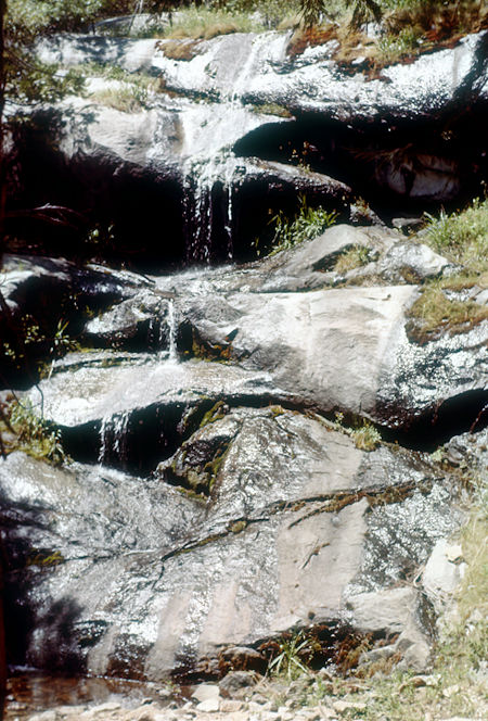 On the trail to Chilnualna Falls - Yosemite National Park - Jul 1957