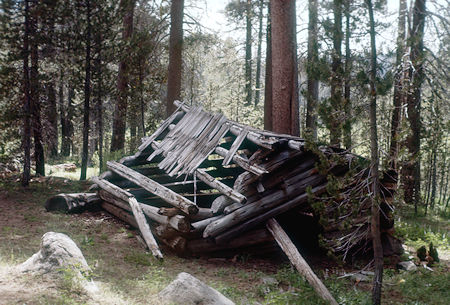 Homesteader's cabin, Peregoy Meadow - Yosemite National Park - Jul 1957