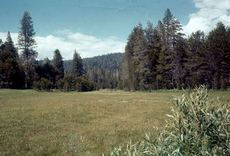 Peregoy Meadow - Yosemite National Park - Jul 1957 Peregoy Meadow - Yosemite National Park - Jul 1957