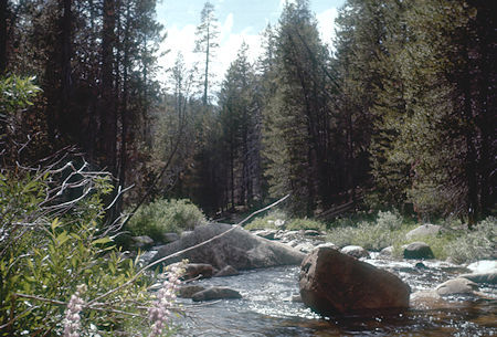 Bridalveil Creek at Pohono Trail - Yosemite National Park - Jul 1957 Bridalveil Creek at Pohono Trail - Yosemite National Park - Jul 1957
