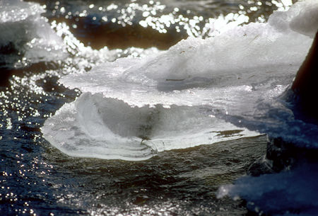 Bridalveil Creek - Yosemite National Park - 02 Jan 1970