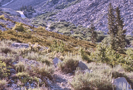 Cascades, Devil's Staircase - Kings Canyon National Park 20 Aug 1963