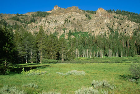 Eagle Peak above Eagle Meadow - Emigrant Wilderness 1994 Eagle Peak above Eagle Meadow - Emigrant Wilderness 1994