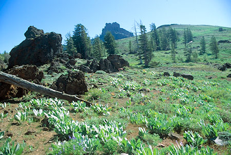 Looking east on Eagle Pass - Emigrant Wilderness 1994 Looking east on Eagle Pass - Emigrant Wilderness 1994