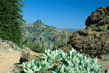 Eagle Peak from  Eagle Pass - Emigrant Wilderness 1994