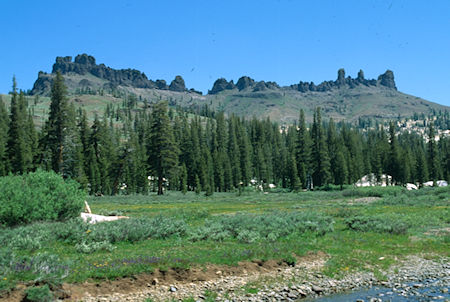 The Three Chimneys and flowers from Cooper Meadow - Emigrant Wilderness 1994 The Three Chimneys and flowers from Cooper Meadow - Emigrant Wilderness 1994