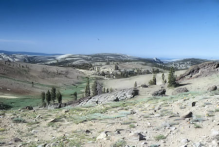 Southwest toward Whitesides Meadow from ridge - Emigrant Wilderness 1994