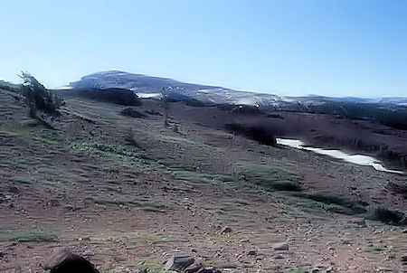 Toward Granite Dome on ridge - Emigrant Wilderness 1994