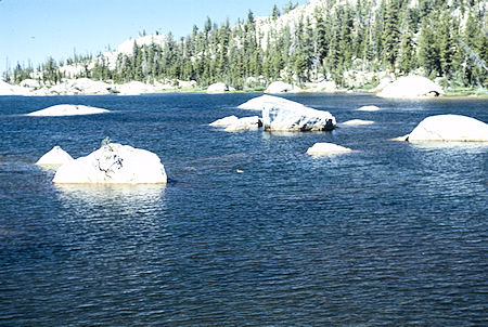 Duck in Long Lake - Emigrant Wilderness 1994 Duck in Long Lake - Emigrant Wilderness 1994