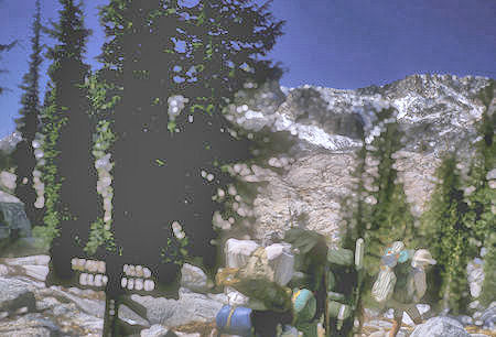 Seavey Pass - Yosemite National Park - 02 Sep 1964 Seavey Pass - Yosemite National Park - 02 Sep 1964