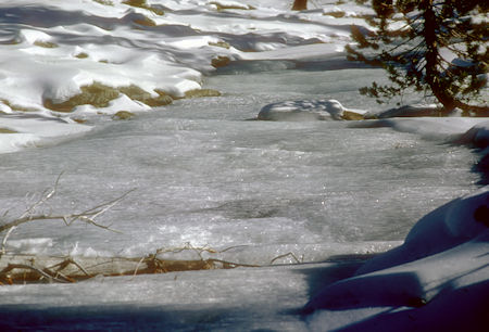 Ice flow near Sentinel Dome - Yosemite National Park - 02 Jan 1970 Ice flow near Sentinel Dome - Yosemite National Park - 02 Jan 1970