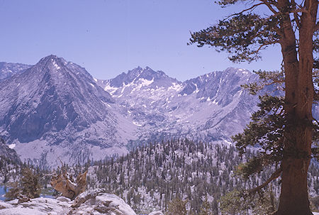 Vidette Creek from 'new' trail - Kings Canyon National Park 25 Aug 1963 Vidette Creek from 'new' trail - Kings Canyon National Park 25 Aug 1963