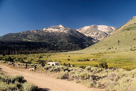 Willow Flat Meadow (Private), Burt Canyon - Hoover Wilderness 1995 Willow Flat Meadow (Private), Burt Canyon - Hoover Wilderness 1995