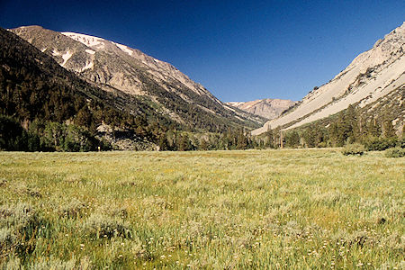 Willow Flat Meadow (USFS), Burt Canyon - Hoover Wilderness 1995