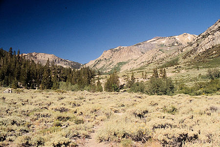 Lower Burt Canyon - Hoover Wilderness 1995 Lower Burt Canyon - Hoover Wilderness 1995