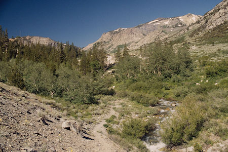 Little Walker River crossing Burt Canyon - Hoover Wilderness 1995