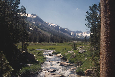 Little Walker River in Burt Canyon - Hoover Wilderness 1995 Little Walker River in Burt Canyon - Hoover Wilderness 1995