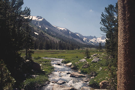 Little Walker River in Burt Canyon - Hoover Wilderness 1995