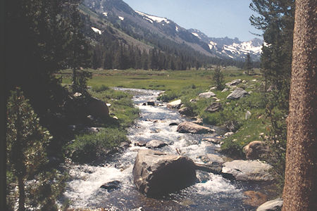 Little Walker River in Burt Canyon - Hoover Wilderness 1995 Little Walker River in Burt Canyon - Hoover Wilderness 1995