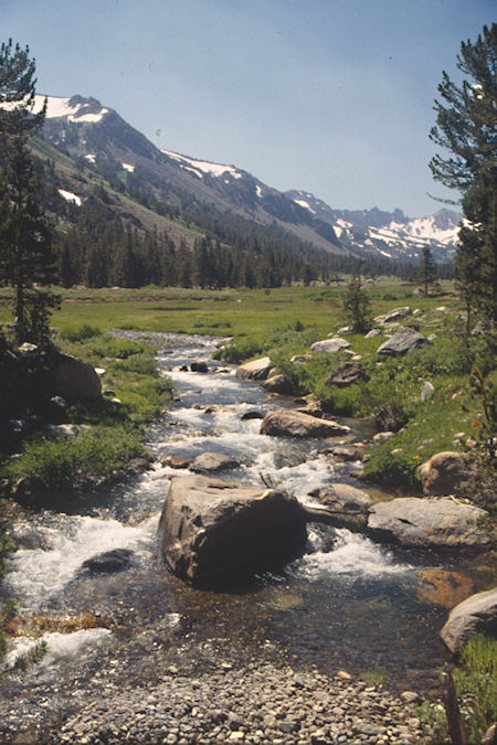 Little Walker River in Burt Canyon - Hoover Wilderness 1995