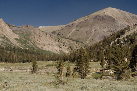 Burt Canyon looking back at Piute Canyon from upper meadow - Hoover Wilderness 1995 Burt Canyon looking back at Piute Canyon from upper meadow - Hoover Wilderness 1995
