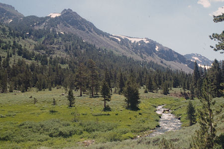 Upper Burt Canyon near Anna Lake trail junction - Hoover Wilderness 1995