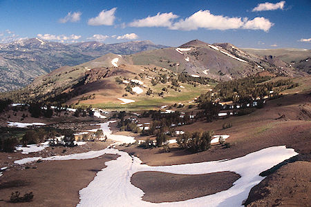 'Piute Meadow' area from near Anna Lake - Hoover Wilderness 1995