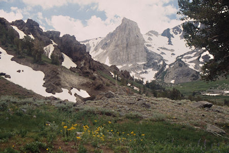 Flowers and Flatiron Butte and weird rocks on Burt Canyon side of Burt Canyon/Molybdenite Creek saddle - Hoover Wilderness 1995 Flowers and Flatiron Butte and weird rocks on Burt Canyon side of Burt Canyon/Molybdenite Creek saddle - Hoover Wilderness 1995