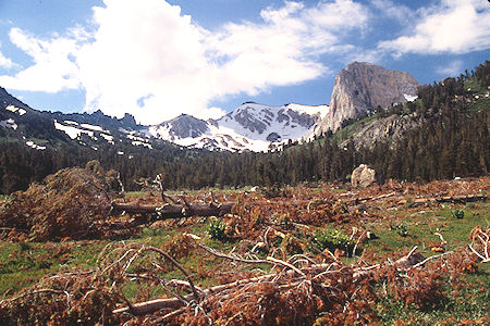 Ink Rocks, Flatiron Butte, avalanche debris in Burt Canyon - Hoover Wilderness 1995