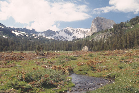 Ink Rocks, Flatiron Butte, avalanche debris over Burt Canyon Creek - Hoover Wilderness 1995