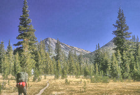 Virginia Canyon - Yosemite National Park - 05 Sep 1964