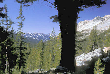 Virginia Canyon, Gray Butte - Yosemite National Park - 05 Sep 1964