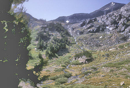 The trail to Virginia Lakes - Hoover Wilderness - 06 Sep 1964 The trail to Virginia Lakes - Hoover Wilderness - 06 Sep 1964