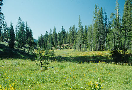 Stevenson Meadow - Ansel Adams Wilderness - Aug 1993