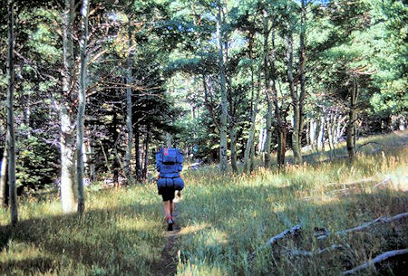 On the trail near Walker Lake On the trail near Walker Lake