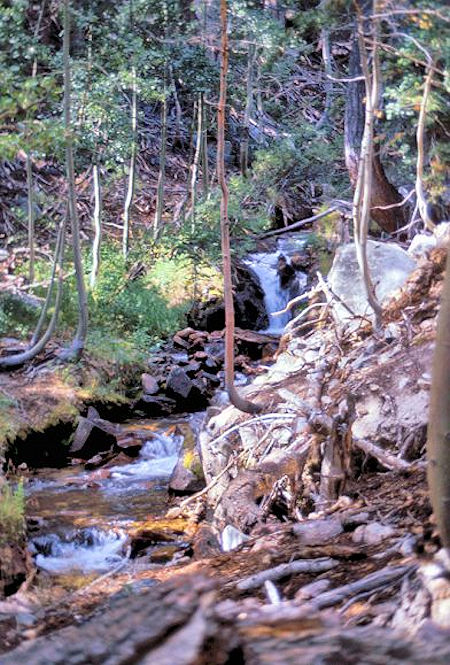 The stream in Bloody Canyon The stream in Bloody Canyon