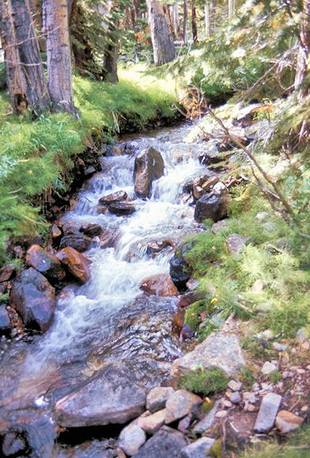 The stream in Bloody Canyon The stream in Bloody Canyon