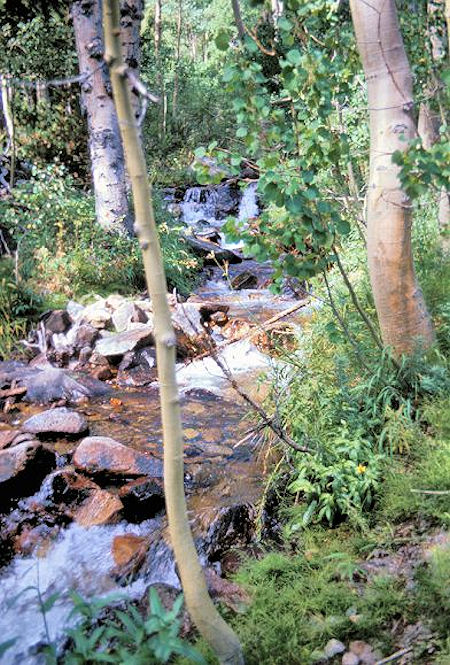 The stream in Bloody Canyon The stream in Bloody Canyon