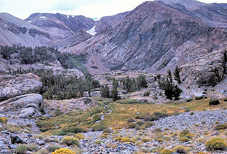 Scene along the trail just below Lower Sardine Lake Scene along the trail just below Lower Sardine Lake