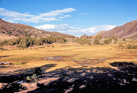 We camped in a clump of trees just west of Mono Pass inside the Park (which is now illegal.. no camping in the Dana Fork drainage) .. this is the view back toward Mono Pass We camped in a clump of trees just west of Mono Pass inside the Park (which is now illegal.. no camping in the Dana Fork drainage) .. this is the view back toward Mono Pass