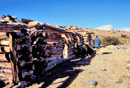 Kevin Twohey checks out mine cabins circa 1890's at Mono Pass Kevin Twohey checks out mine cabins circa 1890's at Mono Pass