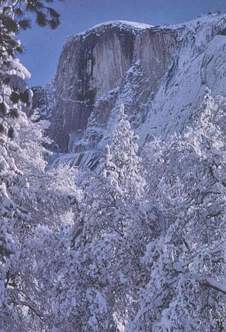 Half Dome from Stables in Yosemite Valley - Yosemite National Park - 01 Jan 1966 Half Dome from Stables in Yosemite Valley - Yosemite National Park - 01 Jan 1966