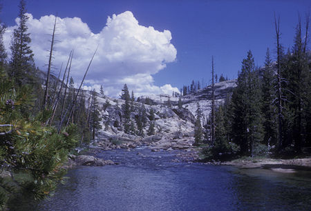 Tuolumne River - Yosemite National Park - 19 Aug 1962