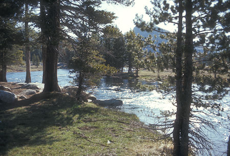 Spring runoff in Tuolumne Meadow - Yosemite National Park 27 May 1972 Spring runoff in Tuolumne Meadow - Yosemite National Park 27 May 1972