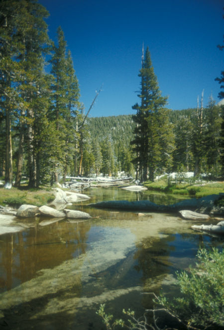 Triple Divide Fork Merced River - Yosemite National Park - Aug 1973