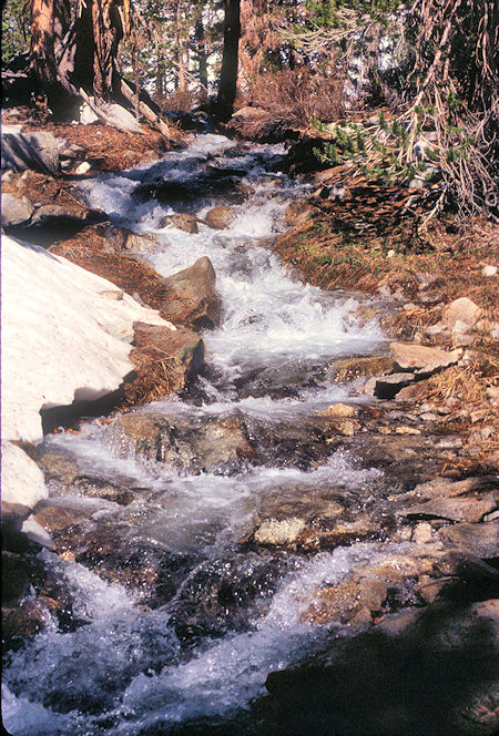 Patricia Lake outlet stream - 1995